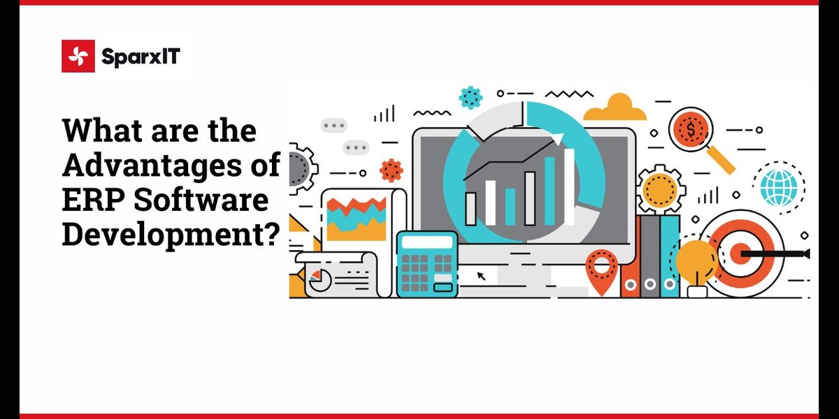 erp software development
