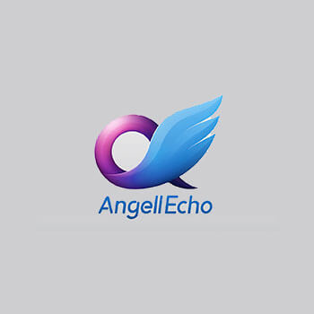 angell echo