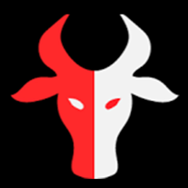 betabulls inc