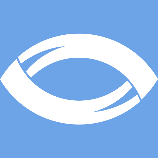blackthorn vision