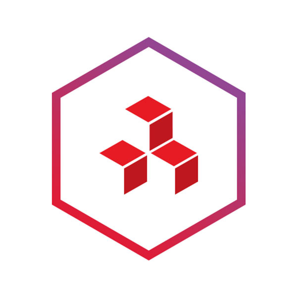 dmi(digital management, inc.)