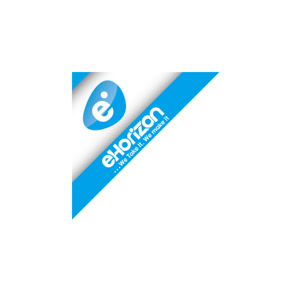 ehorizon electronic solutions llc