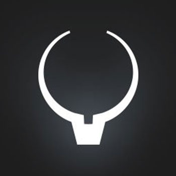 wildebeest