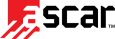 Ascar ascar