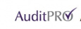 auditpro