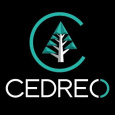 Cedreo cedreo