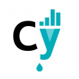 Cyphon cyphon