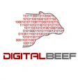 DigitalBeef digitalbeef