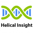 Helical Insight helical insight