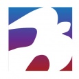 Icon Systems icon systems