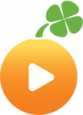 Lucky Orange lucky orange