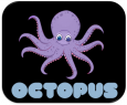 Octopus octopus