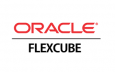 Oracle FLEXCUBE oracle flexcube