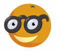 Orange orange