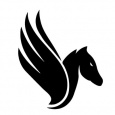 Pegasys pegasys