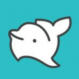 Porpoise porpoise