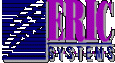 Risk Manager risk manager