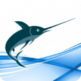Swordfish Translation Editor swordfish translation editor