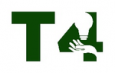 T4 t4