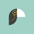 Toucan Toco toucan toco